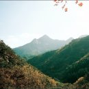구월산 - 고양시 덕양구 중앙로 645 | 구월산