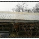 하라한우농장 이미지