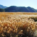 삼성노인회관 이미지