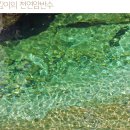 풍경채펜션 이미지