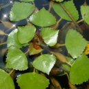 능인한의원 이미지