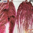 세계농약사 이미지