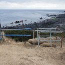 해비치목장 이미지