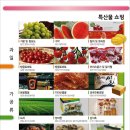 수도해상콘도낚시