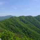 성수산목장 이미지