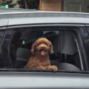 오봉집 사우점 | 시간이 지날 수록