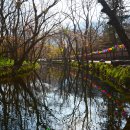 선운산골든캐슬 | 고창가볼만한곳 고창여행 고창숙소 고창숙박 / 고창청보리밭 선운사 골든캐슬펜션 / 전북가볼만한곳