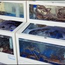 눈앞에 바다 이미지