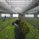 해밀농장 이미지