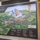 휘닉스PC방 | 소노벨 비발디 패밀리스탠다드 룸 패키지 할인 내돈내산