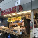 두꺼비청과