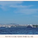 고래와새우