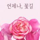총각손칼국수 이미지