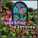 면목2동 겸재보도육교 앞 | 서울장미축제 리뷰 장미꽃 유채꽃과 함께한 중랑천 걷기 산책
