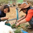 영월힐링숲펜션 이미지