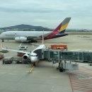 신교카프라자 | ✈️일본 여행(2023.10.8~12) - 1일차 - 나리타공항, 오다이바, 캡슐호텔