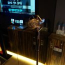 히든싱어 노래연습장 이미지