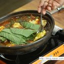 섬강목장 이미지