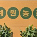 예원농장 이미지