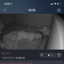의자, 아프리콧스튜디오, 베베숲사건, 어스본사운드북, 아넬라퓨레, 카페담미소, 뮤이아뜰리에꼬리베개