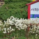 서해미술관 이미지