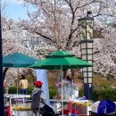 상하 연화목장 이미지