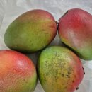 브리지팜 이미지