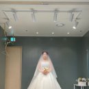 주식회사지에스더프레시(강서증미역 | 셀프 본식 웨딩드레스 피팅 솔직 후기, 워크인 드레스 투어 당일계약지정혜택 (브라이드영 계약 O)