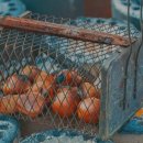 초리풍경 이미지