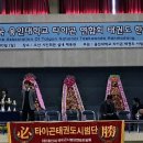 용인대타이곤 태권도 체육관 이미지