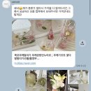 언누아르 | 목포 남악 부케 언누아르 I 인생 첫 부케기프트: 마음을 담아🤍