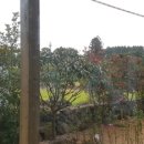 유수암(거문덕이) Daum카페