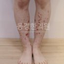 동경반점 네이버블로그