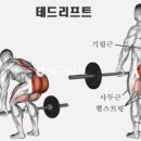 피티그램