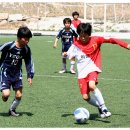 여주초등학교 이미지