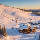 제주에니멀119주식회사 | 전국 문화 전문 휴양업 목록 | 온천, 박물관, 리조트, 휴양림, 수목원 등