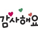 충무코다리 이미지