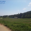 보성축사 이미지