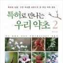 특허로 만나는 우리 약초 이미지