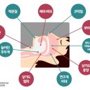 이엔이치과의원 네이버블로그