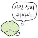 쌈겹