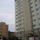 수원-정자-정자-9 이미지