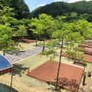 좌구산 휴양랜드 썰매장 이미지