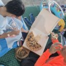 중원대학교 | 충북 괴산 중원대학교 워터파크 후기 중원워터피아