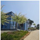 금산펜션 | 금산 동마루 독채펜션 방문 후기 – 자연 속에서 보내는 조용한 하루