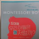 미키몬테소리