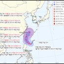태풍이네 이미지