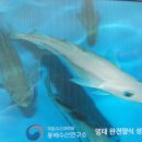 "강릉 '동해수산연구소'를 찾아서..." 이미지