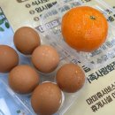 (주)제주복돈 | [2월 일상] 주의) 달달함 한도초과🤤