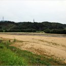 영주수도리김덕진가옥 이미지